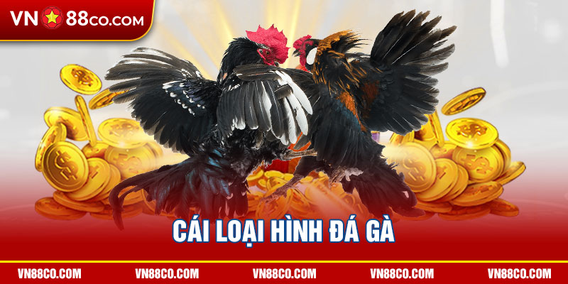 Cái loại hình đá gà