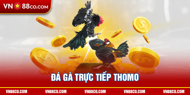 4 da ga truc tiep thomo